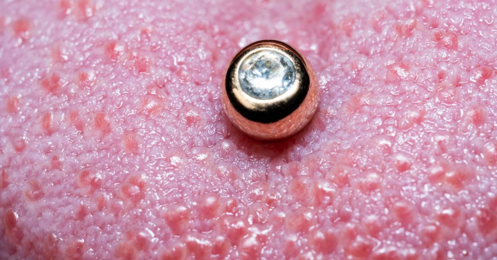 The 3 Best Tongue Rings That Won't Damage Teeth! 2024 Guide